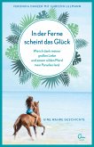 In der Ferne scheint das Glück / Sehnsuchtsorte Bd.2 (eBook, ePUB)