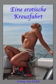 Die erotische Kreuzfahrt (eBook, ePUB)