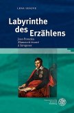 Labyrinthe des Erzählens (eBook, PDF)