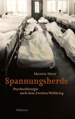 Spannungsherde (eBook, PDF) - Meier, Marietta