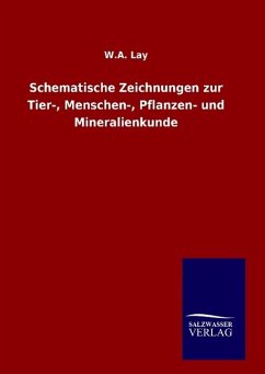 Schematische Zeichnungen zur Tier-, Menschen-, Pflanzen- und Mineralienkunde