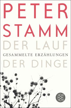 Der Lauf der Dinge - Stamm, Peter