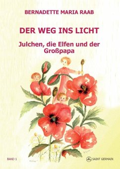Der Weg ins Licht - Raab, Bernadette Maria