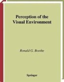 Perception of the Visual Environment (eBook, PDF)