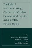 The Role of Neutrinos, Strings, Gravity, and Variable Cosmological Constant in Elementary Particle Physics (eBook, PDF)