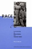 Race and Affluence (eBook, PDF)