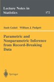 Parametric and Nonparametric Inference from Record-Breaking Data (eBook, PDF)