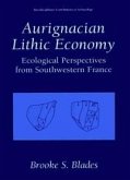 Aurignacian Lithic Economy (eBook, PDF)