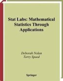 Stat Labs (eBook, PDF)