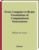 From Computer to Brain (eBook, PDF)