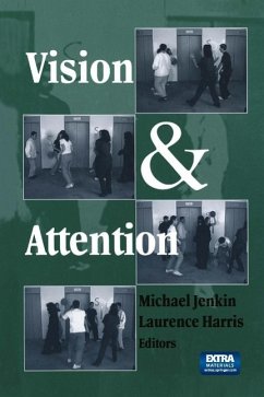 Vision and Attention (eBook, PDF) Cover Vision and Attention (eBook, PDF)