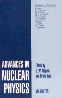 Advances in Nuclear Physics (eBook, PDF)