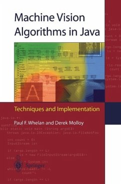 Machine Vision Algorithms in Java (eBook, PDF) - Whelan, Paul F.; Molloy, Derek