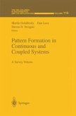 Pattern Formation in Continuous and Coupled Systems (eBook, PDF)