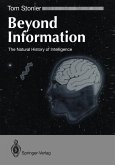 Beyond Information (eBook, PDF)