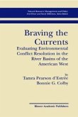 Braving the Currents (eBook, PDF)