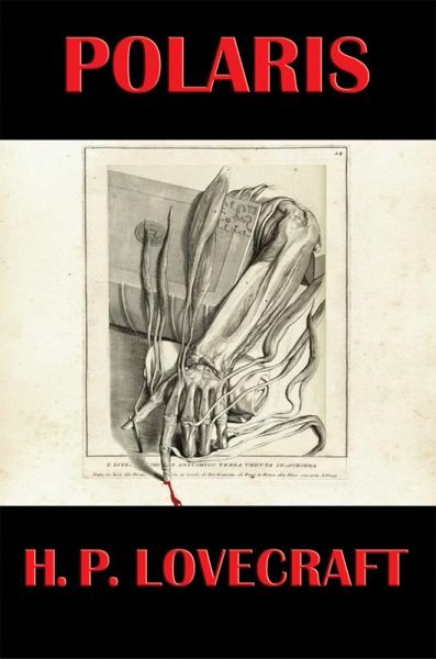 Polaris (eBook, ePUB)