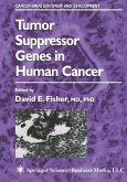 Tumor Suppressor Genes in Human Cancer (eBook, PDF)