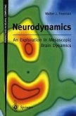 Neurodynamics: An Exploration in Mesoscopic Brain Dynamics (eBook, PDF)