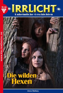 Irrlicht 66 – Mystikroman (eBook, ePUB) - Stefany, Anna