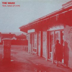 Tidal Wave Of Hype - Wake,The