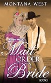 A New Mexico Mail Order Bride 1 (New Mexico Mail Order Bride Serial (Christian Mail Order Bride Romance), #1) (eBook, ePUB)