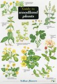 Guide to Woodland Plants Guide to Woodland Plants