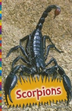 Scorpions - Raum, Elizabeth