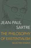 The Philosophy of Existentialism: Selected Essays