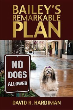 Bailey's Remarkable Plan - Hardiman, David