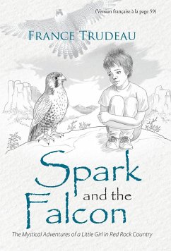Spark and the Falcon Cover Spark and the Falcon