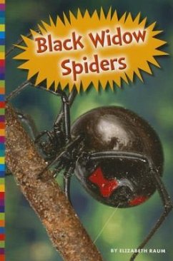 Black Widow Spiders - Raum, Elizabeth