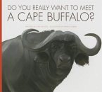 Do You Really Want to Meet a Cape Buffalo?