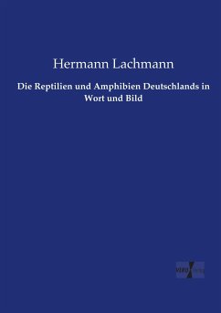 Die Reptilien und Amphibien Deutschlands in Wort und Bild - Lachmann, Hermann