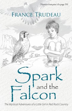 Spark and the Falcon - Trudeau, France