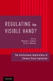 Regulating the Visible Hand? (eBook, PDF)