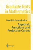 Algebraic Functions and Projective Curves (eBook, PDF)