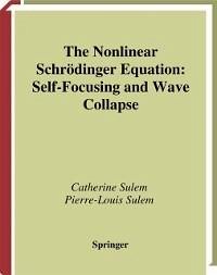 The Nonlinear Schrödinger Equation (eBook, PDF) - Sulem, Catherine; Sulem, Pierre-Louis