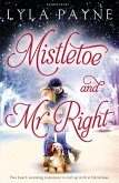 Mistletoe and Mr. Right (eBook, ePUB)