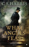 What Angels Fear (eBook, ePUB)