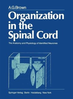 Organization in the Spinal Cord (eBook, PDF) - Brown, A. G.