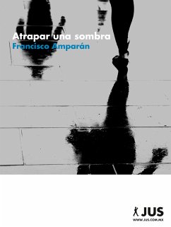 Atrapar una sombra (eBook, ePUB) - Amparán, Francisco