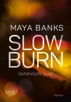 Gefährliche Lust / Slow Burn Bd.3 - Banks, Maya