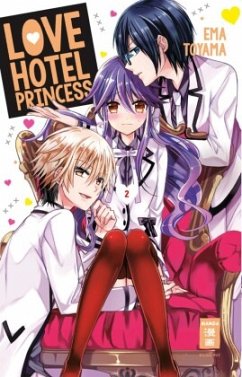 Cover Love Hotel Princess Bd.2