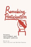 Remaking Participation (eBook, PDF)