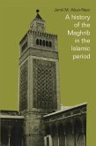 History of the Maghrib in the Islamic Period (eBook, PDF)