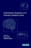 Evolutionary Anatomy of the Primate Cerebral Cortex (eBook, PDF)