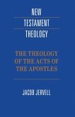 Theology of the Acts of the Apostles (eBook, PDF)