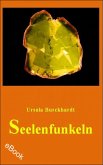 Seelenfunkeln (eBook, ePUB)