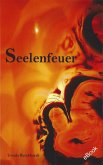 Seelenfeuer (eBook, ePUB)